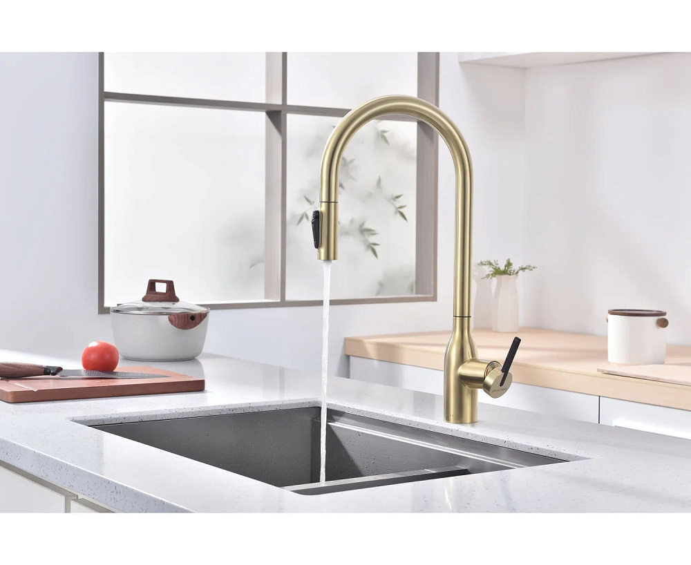 Смеситель для кухни Paulmark Universal Un213880-LG светлое золото