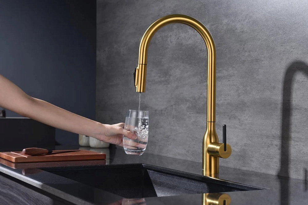 Смеситель для кухни Paulmark Universal Un213880-BG брашированное золото