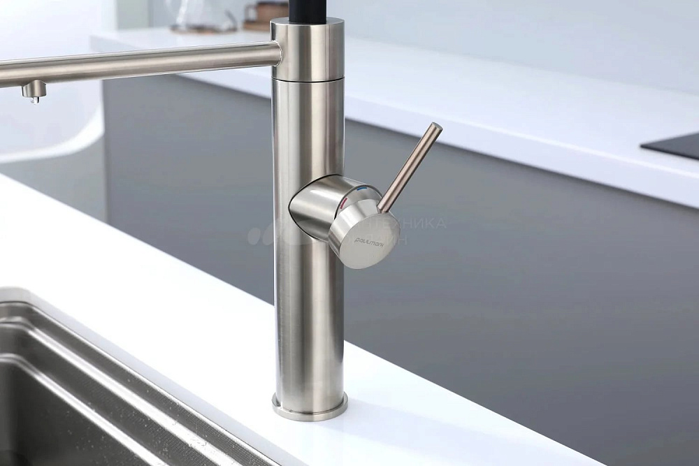 Смеситель для кухни Paulmark Ganymede Ga213199-BS с гибким изливом, брашированная сталь
