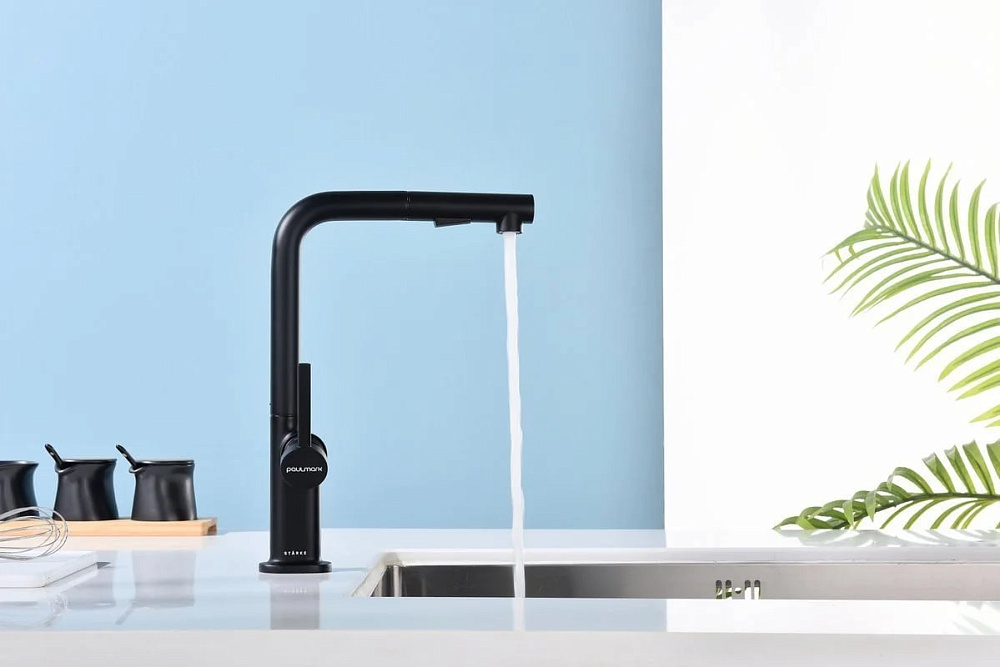 Смеситель для кухни Paulmark Neo Ne214419-AN, антрацит
