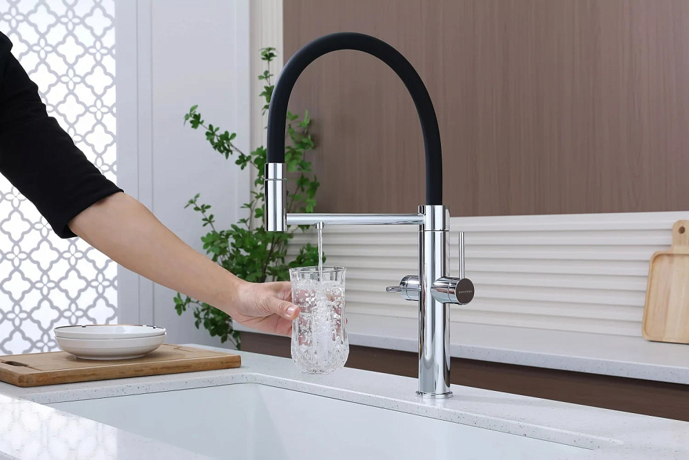 Смеситель для кухни Paulmark Nexus Ne213999-CR с гибким изливом, хром