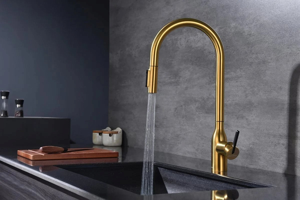 Смеситель для кухни Paulmark Universal Un213880-BG брашированное золото