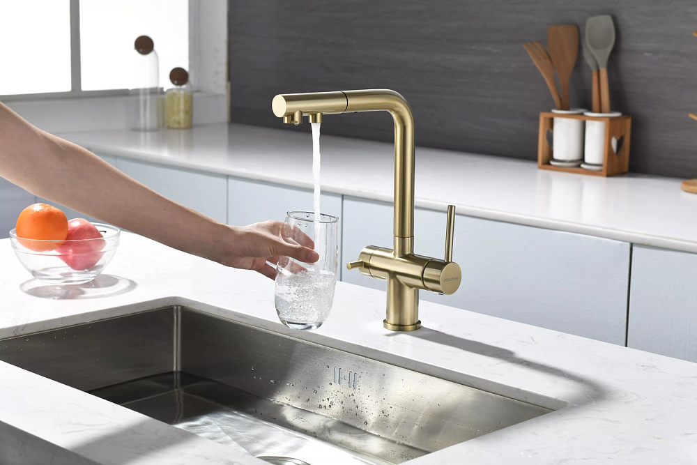 Смеситель для кухни Paulmark Serpentine Se213222-BG золото брашированное