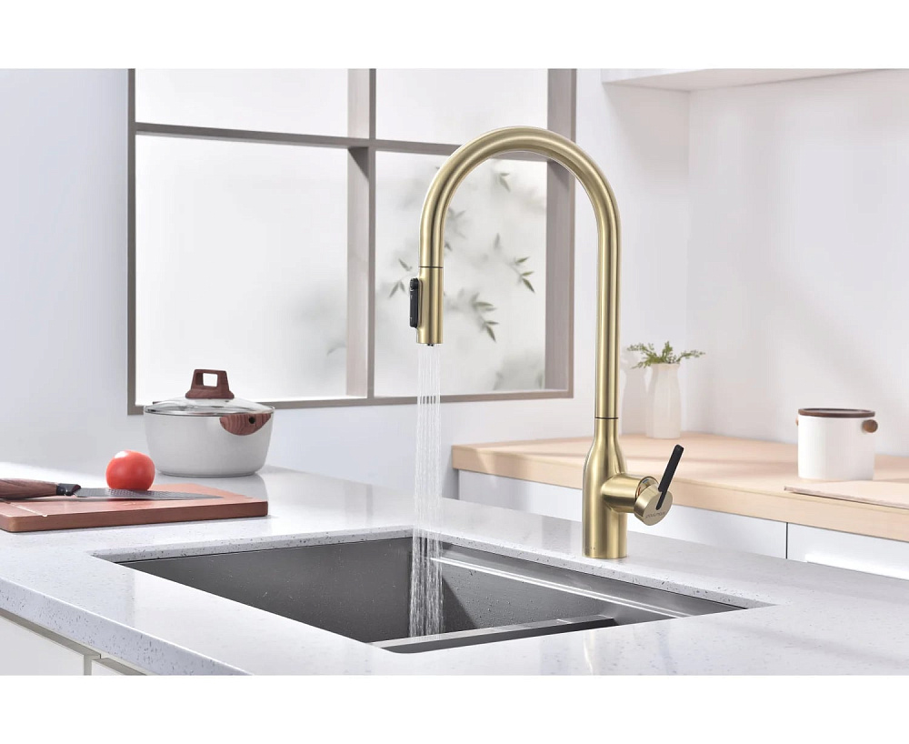 Смеситель для кухни Paulmark Universal Un213880-LG светлое золото