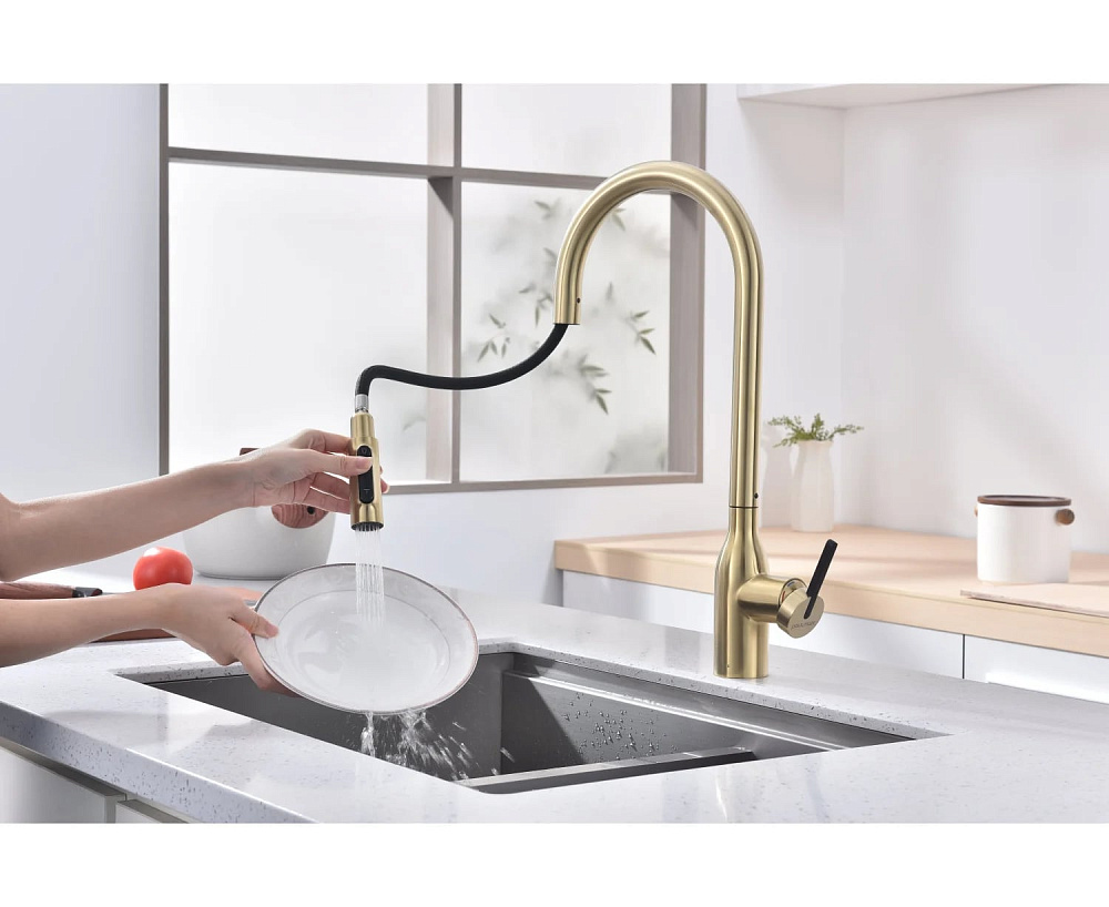 Смеситель для кухни Paulmark Universal Un213880-LG светлое золото